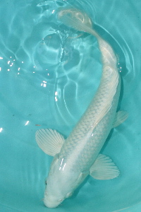 20111120 150-200.jpg